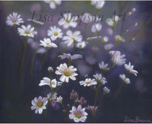 Load image into Gallery viewer, Midnight Dream Fine Art Print