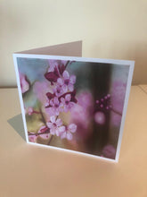 Load image into Gallery viewer, Fragile Beauty Gift Card
